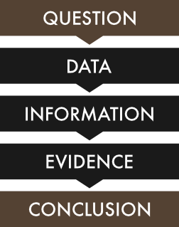 Inputs and outputs of the research process